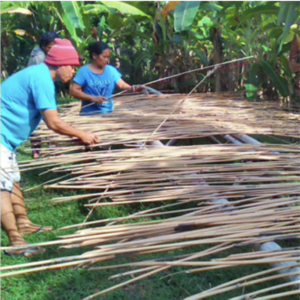 Worthy Picks Origin Story 